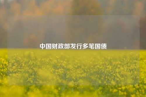 中国财政部发行多笔国债