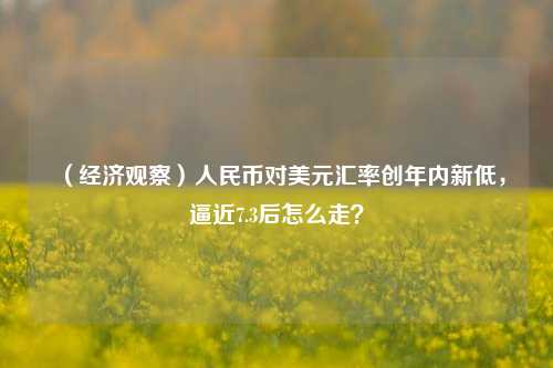 （经济观察）人民币对美元汇率创年内新低，逼近7.3后怎么走？