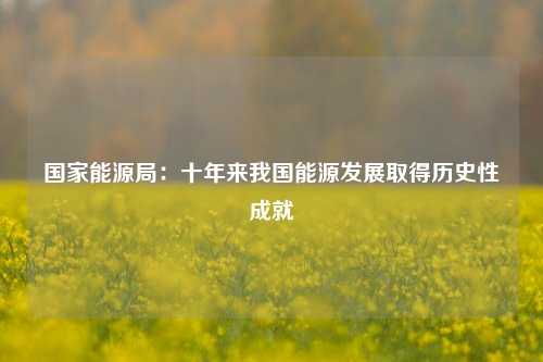 国家能源局：十年来我国能源发展取得历史性成就