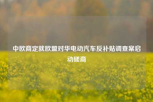 中欧商定就欧盟对华电动汽车反补贴调查案启动磋商