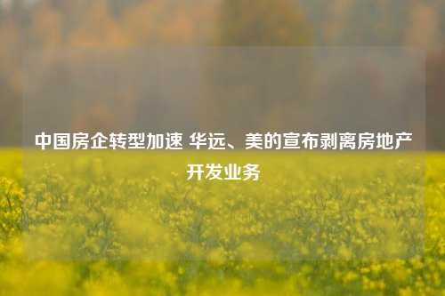 中国房企转型加速 华远、美的宣布剥离房地产开发业务