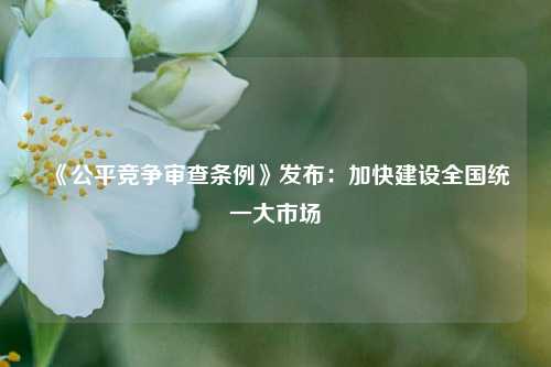 《公平竞争审查条例》发布：加快建设全国统一大市场