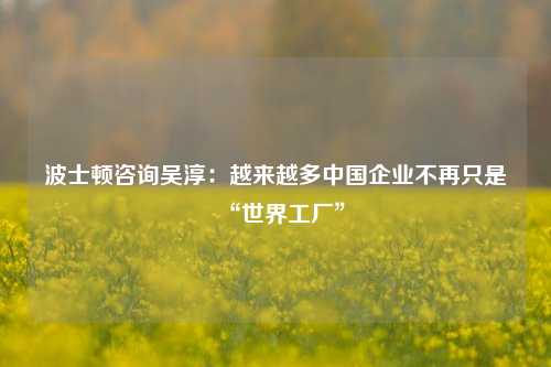 波士顿咨询吴淳：越来越多中国企业不再只是“世界工厂”