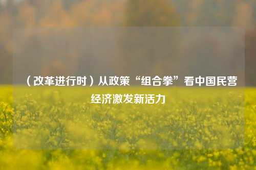 （改革进行时）从政策“组合拳”看中国民营经济激发新活力