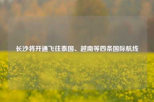 长沙将开通飞往泰国、越南等四条国际航线