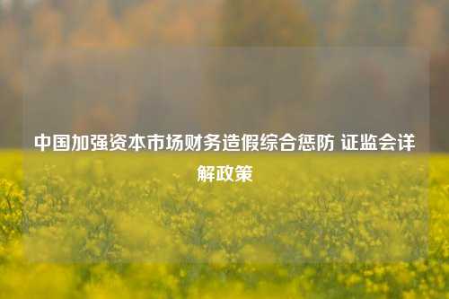中国加强资本市场财务造假综合惩防 证监会详解政策