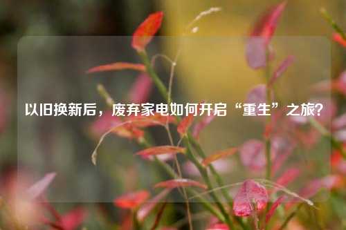 以旧换新后，废弃家电如何开启“重生”之旅？