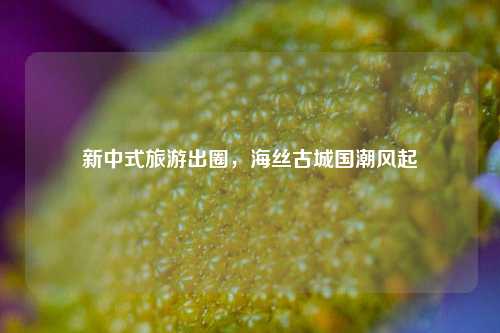 新中式旅游出圈，海丝古城国潮风起