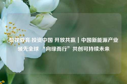 梨花教育:投资中国 开放共赢｜中国新能源产业领先全球 “向绿而行”共创可持续未来