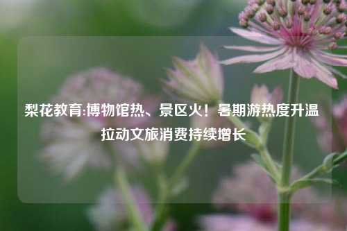 梨花教育:博物馆热、景区火！暑期游热度升温 拉动文旅消费持续增长