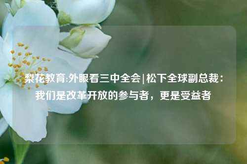 梨花教育:外眼看三中全会|松下全球副总裁：我们是改革开放的参与者，更是受益者