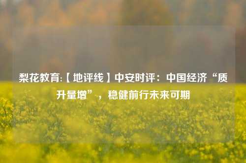 梨花教育:【地评线】中安时评：中国经济“质升量增”，稳健前行未来可期