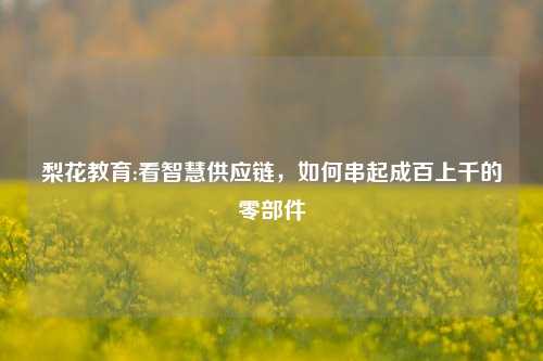 梨花教育:看智慧供应链，如何串起成百上千的零部件