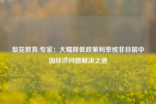 梨花教育:专家：大幅降低政策利率或非目前中国经济问题解决之道