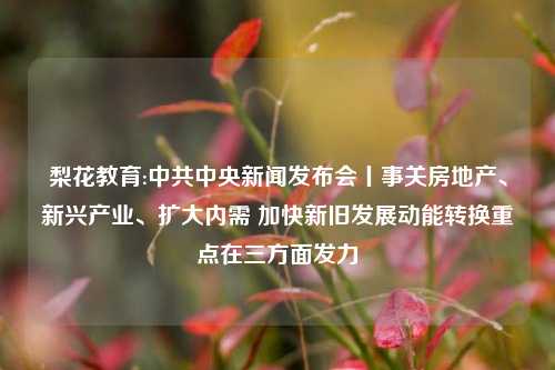 梨花教育:中共中央新闻发布会丨事关房地产、新兴产业、扩大内需 加快新旧发展动能转换重点在三方面发力