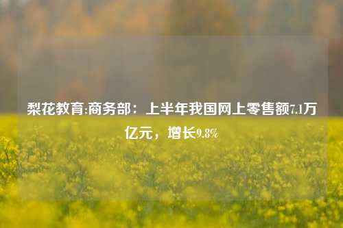 梨花教育:商务部：上半年我国网上零售额7.1万亿元，增长9.8%