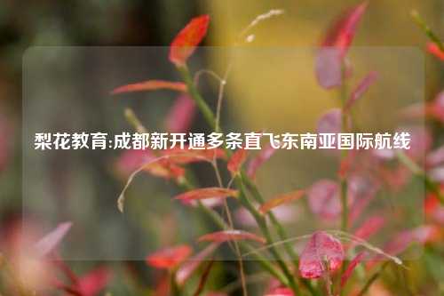 梨花教育:成都新开通多条直飞东南亚国际航线