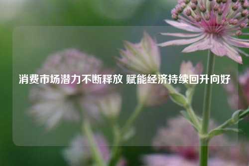 消费市场潜力不断释放 赋能经济持续回升向好