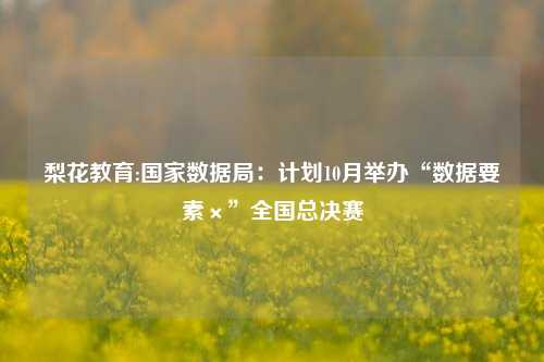 梨花教育:国家数据局：计划10月举办“数据要素×”全国总决赛