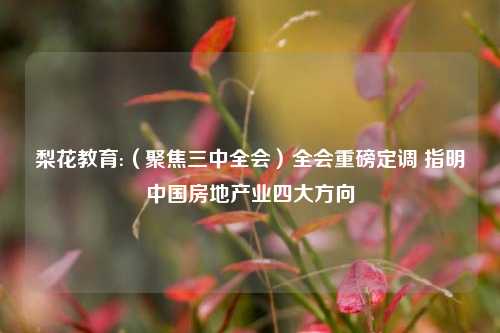 梨花教育:（聚焦三中全会）全会重磅定调 指明中国房地产业四大方向