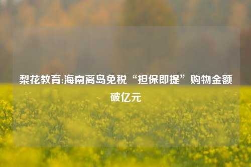 梨花教育:海南离岛免税“担保即提”购物金额破亿元