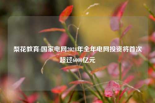 梨花教育:国家电网2024年全年电网投资将首次超过6000亿元