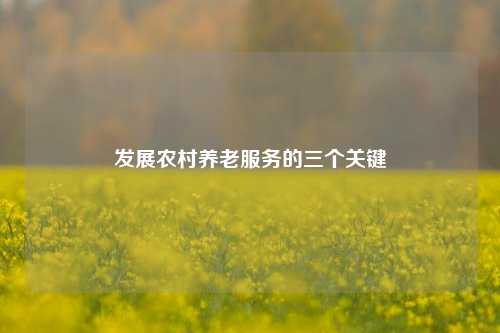 发展农村养老服务的三个关键