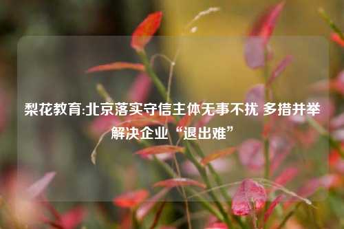 梨花教育:北京落实守信主体无事不扰 多措并举解决企业“退出难”
