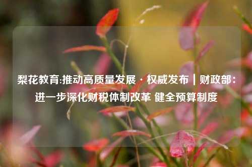 梨花教育:推动高质量发展·权威发布｜财政部：进一步深化财税体制改革 健全预算制度