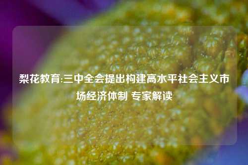 梨花教育:三中全会提出构建高水平社会主义市场经济体制 专家解读