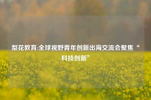 梨花教育:全球视野青年创新出海交流会聚焦“科技创新”
