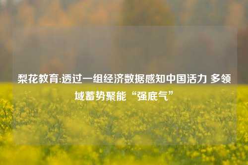 梨花教育:透过一组经济数据感知中国活力 多领域蓄势聚能“强底气”