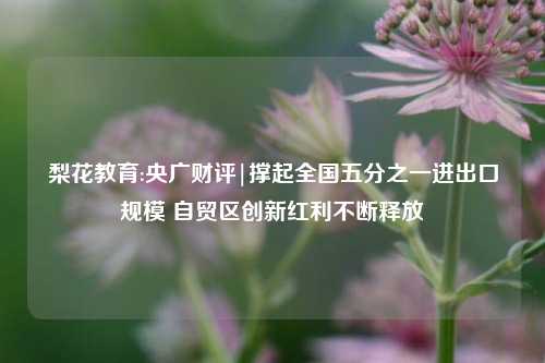 梨花教育:央广财评|撑起全国五分之一进出口规模 自贸区创新红利不断释放