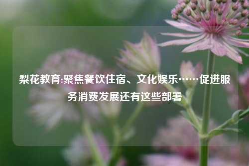 梨花教育:聚焦餐饮住宿、文化娱乐……促进服务消费发展还有这些部署