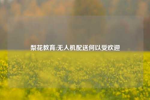 梨花教育:无人机配送何以受欢迎