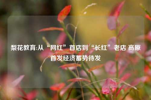 梨花教育:从“网红”首店到“长红”老店 高原首发经济蓄势待发