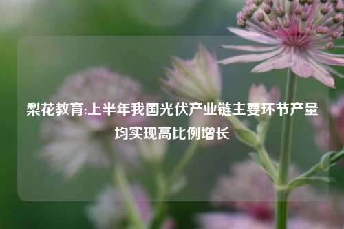 梨花教育:上半年我国光伏产业链主要环节产量均实现高比例增长
