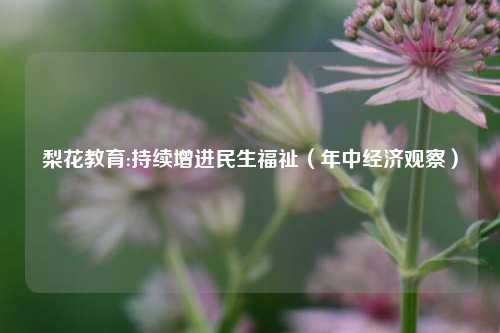 梨花教育:持续增进民生福祉（年中经济观察）