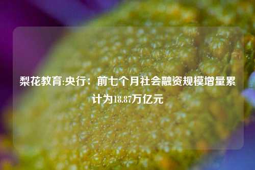 梨花教育:央行：前七个月社会融资规模增量累计为18.87万亿元