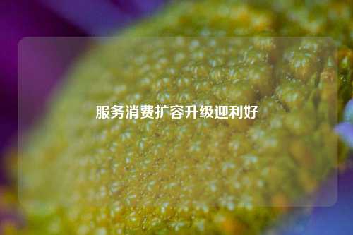 服务消费扩容升级迎利好