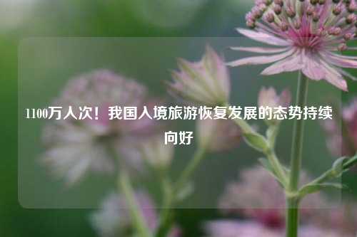 1100万人次！我国入境旅游恢复发展的态势持续向好