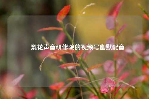 ​梨花声音研修院的视频号幽默配音