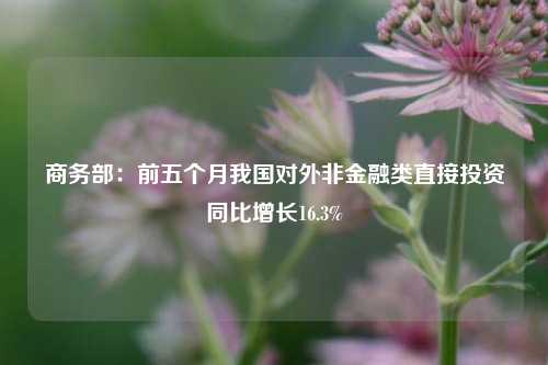 商务部：前五个月我国对外非金融类直接投资同比增长16.3%