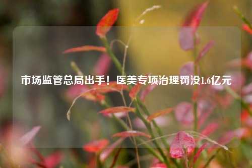 市场监管总局出手！医美专项治理罚没1.6亿元
