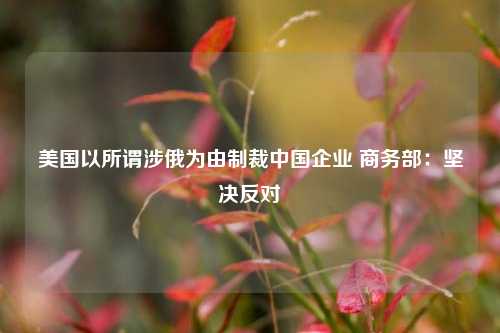 美国以所谓涉俄为由制裁中国企业 商务部：坚决反对