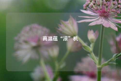 高温蕴“凉”机