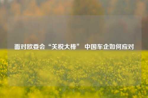 面对欧委会“关税大棒” 中国车企如何应对