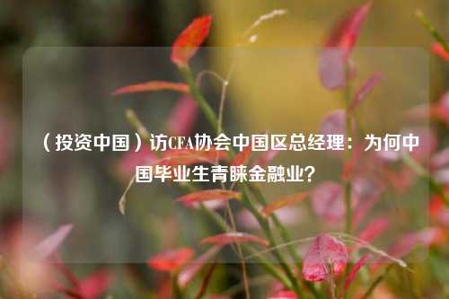 （投资中国）访CFA协会中国区总经理：为何中国毕业生青睐金融业？