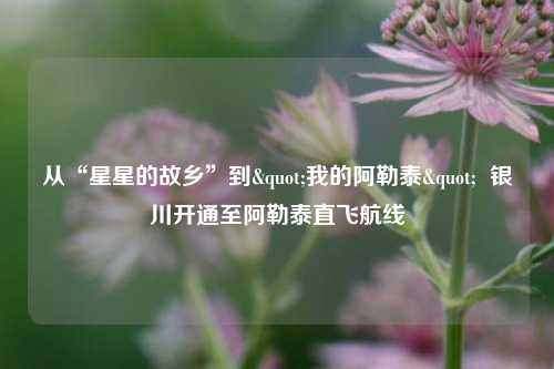 从“星星的故乡”到"我的阿勒泰"  银川开通至阿勒泰直飞航线