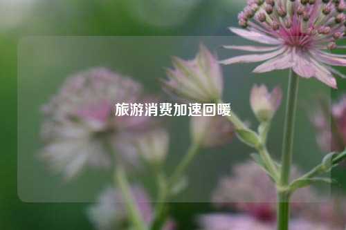 旅游消费加速回暖